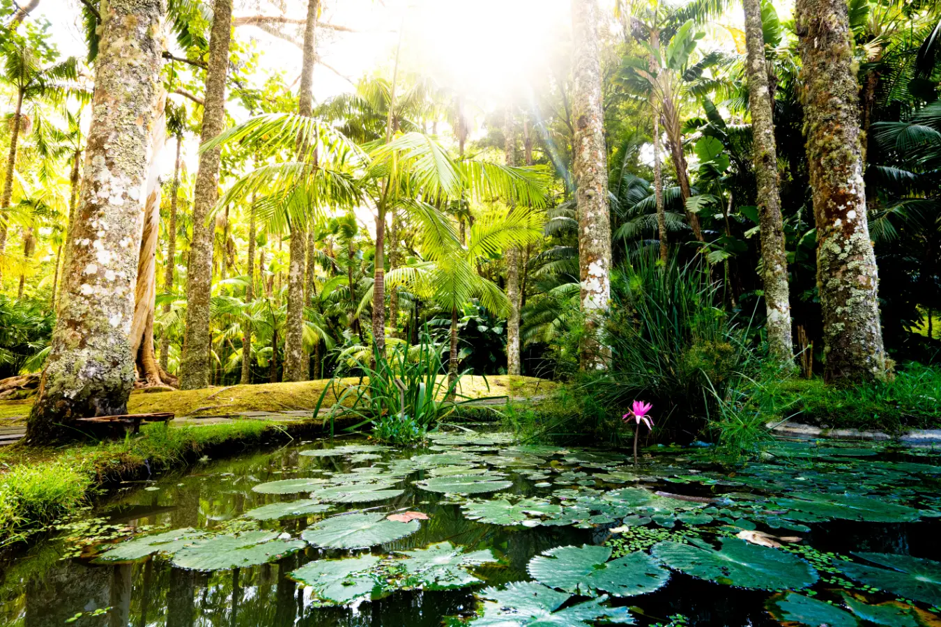 האיים האזוריים