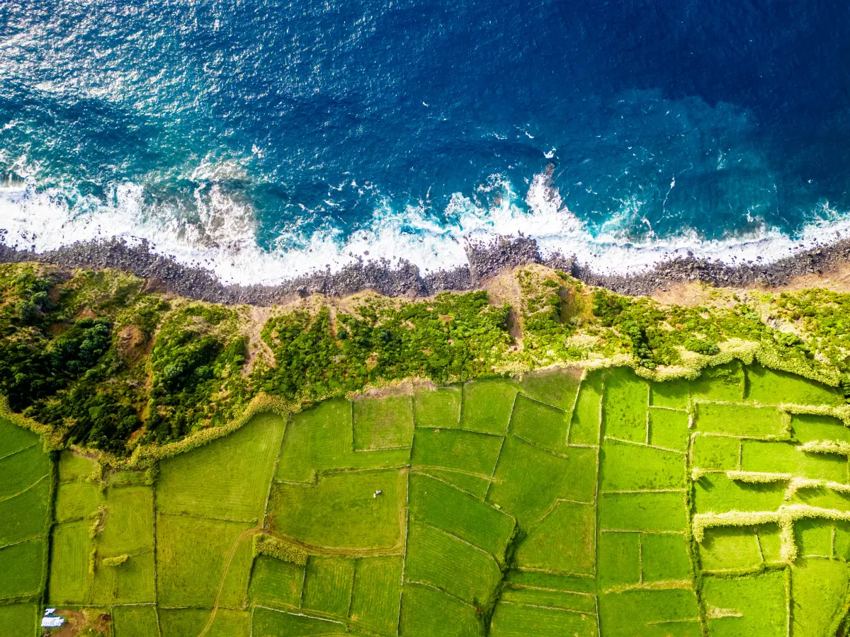 האיים האזוריים