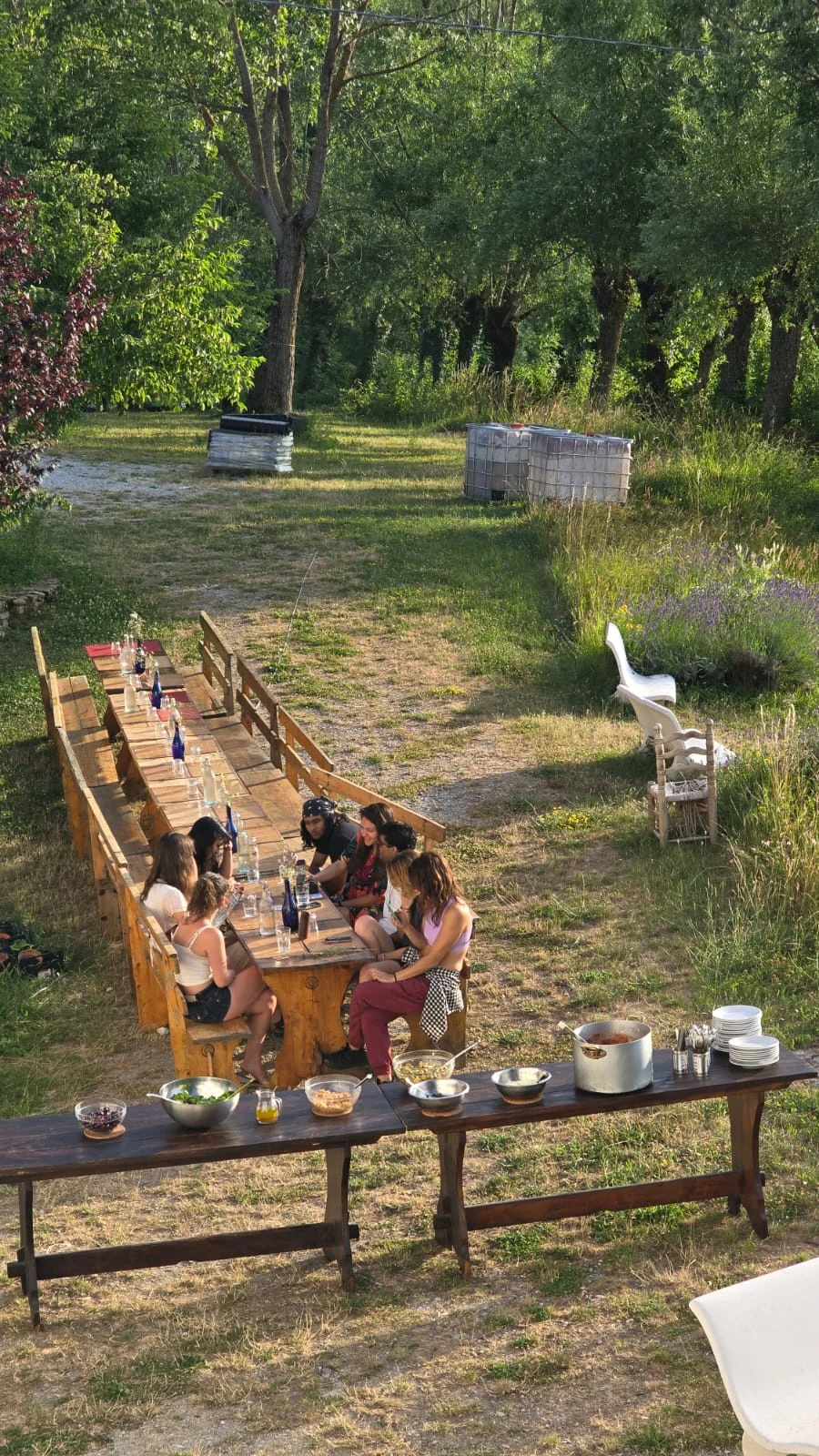 A long wooden table set outdoors in the sunny garden at Honeydew Maiolo, people sitting and talking around it, with white hive boxes among the trees behind them