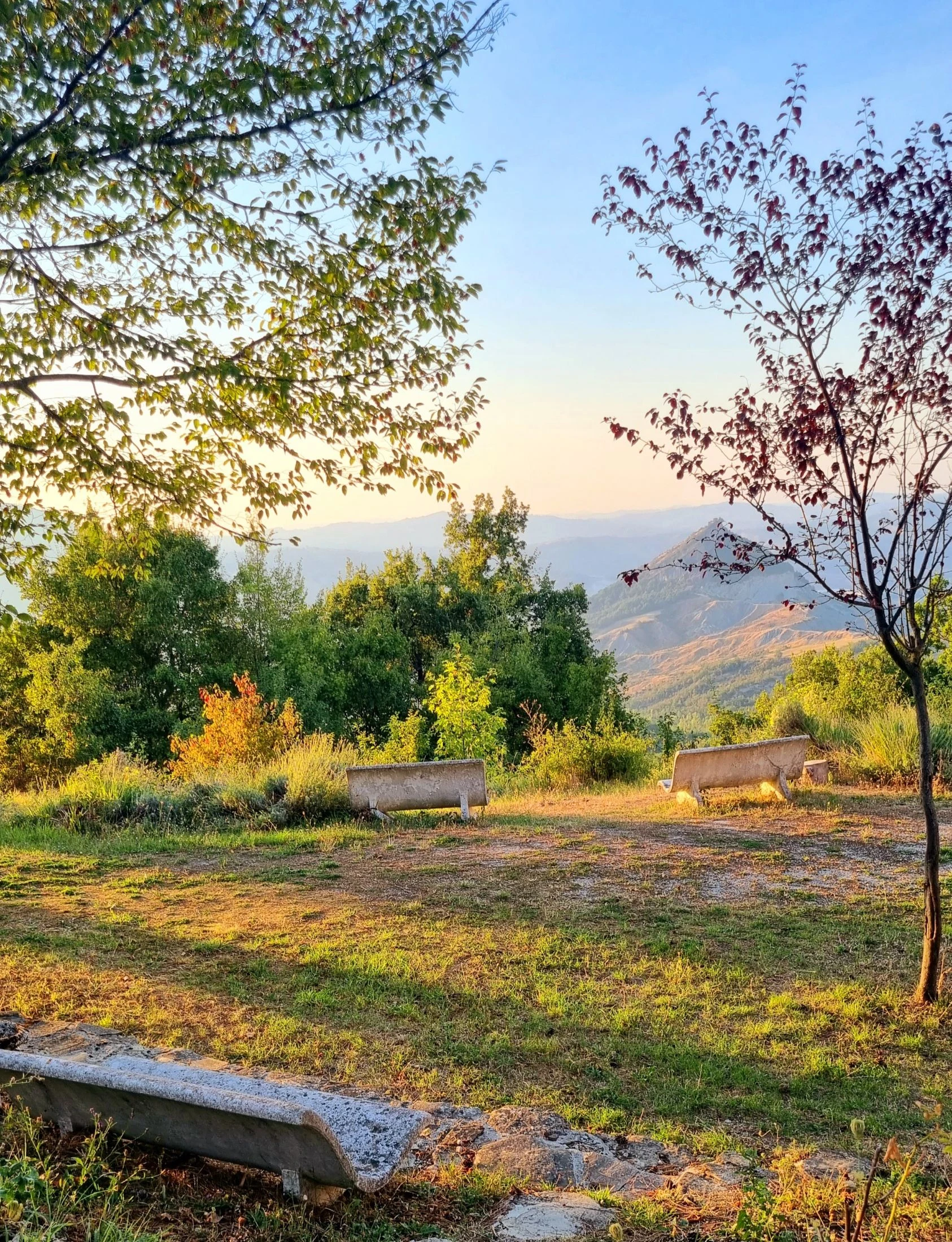 Weathered stone benches on a grassy clearing framed by trees, overlooking layered hills and a distant peak in warm golden-hour light above Maiolo