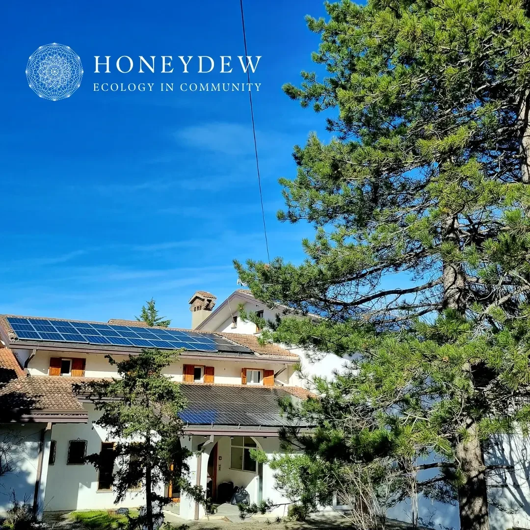 A white stucco farmhouse with terracotta roof tiles and solar panels installed, framed by a tall pine tree against a bright blue sky