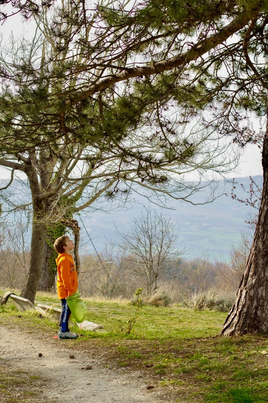 A boy in an orange hoodie stands on a dirt path looking up into the branches of a large pine tree, a hazy valley visible beyond, above Maiolo