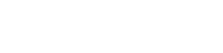 Camoflash-new-white-logo.png